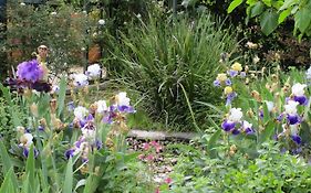 La Gallina Felice B&B